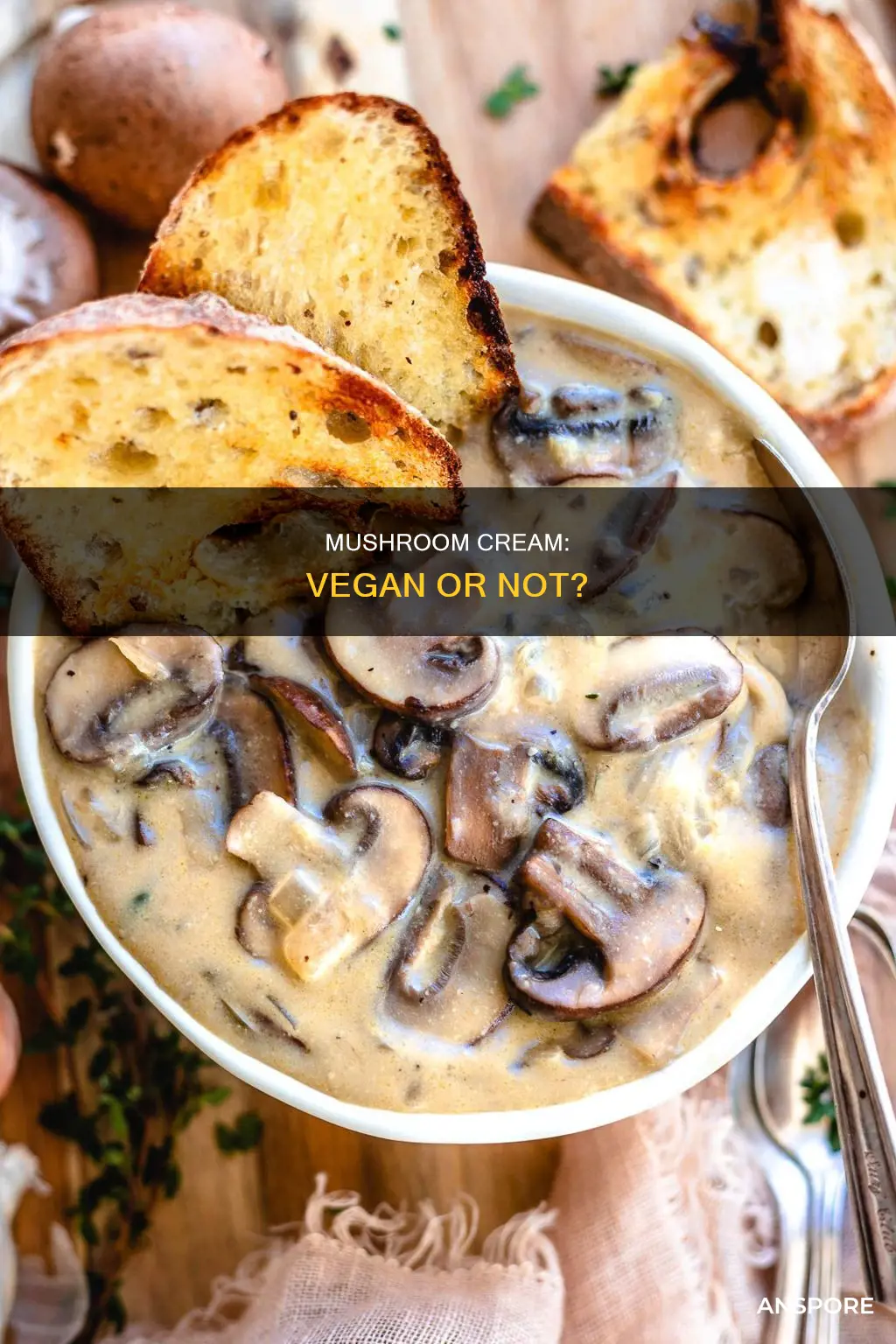 is cream of mushroom vegan