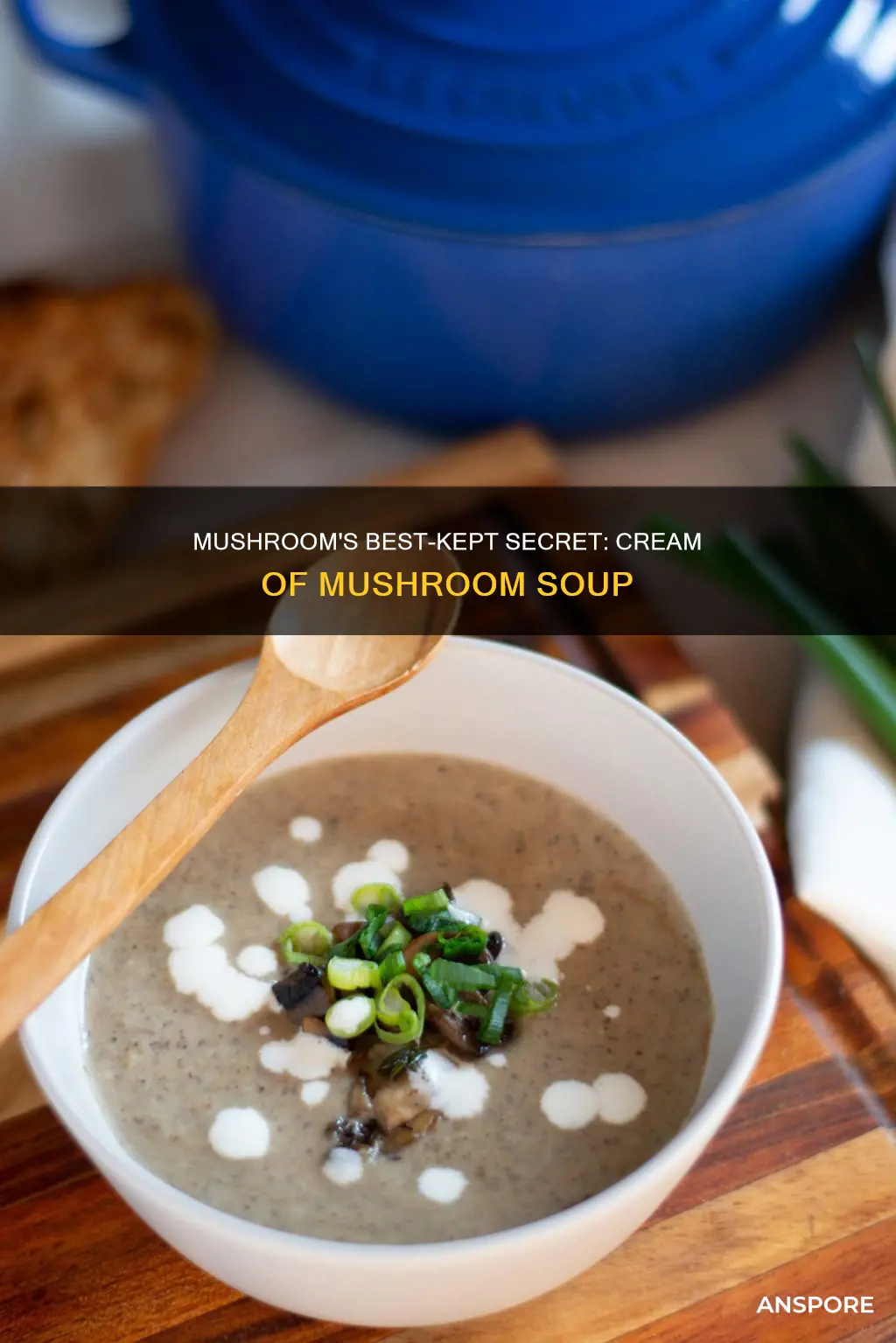 is cream of mushroom