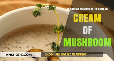 Creamy Mushroom vs. Cream of Mushroom: Unraveling the Soup Confusion