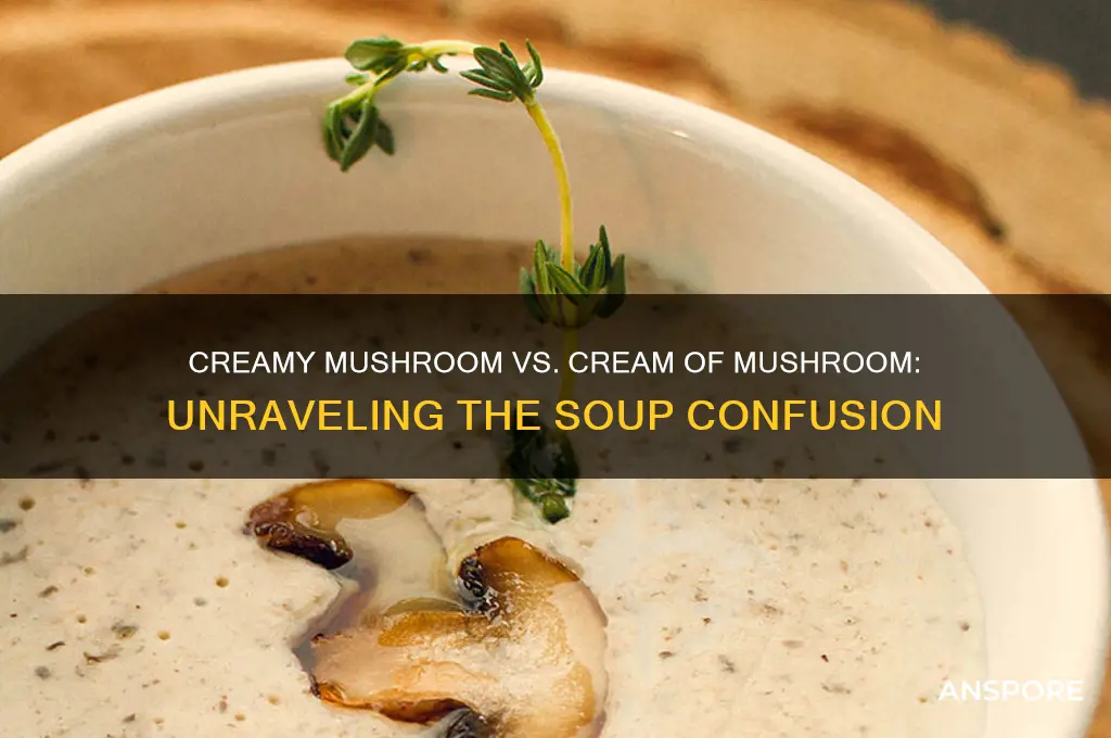 is creamy mushroom the same as cream of mushroom