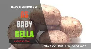 Cremini vs. Baby Bella: Are These Mushrooms Truly Identical?