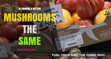 Are Crimini and Button Mushrooms the Same? Unraveling the Fungal Mystery