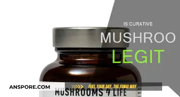 Curative Mushrooms: Legit or a Scam?