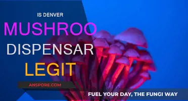 Denver's Mushroom Dispensary — Legit or Not?