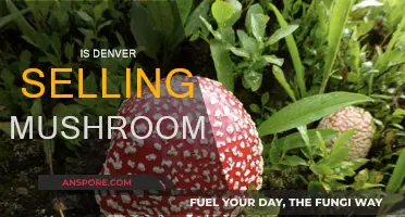 Denver's Mushroom Market: Legal and Thriving