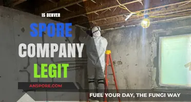 Is Denver Spore Company Legit? Uncovering the Truth Behind the Brand