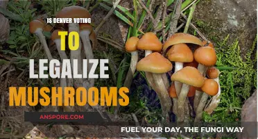Denver's Psychedelic Shift: Voting to Legalize Magic Mushrooms?