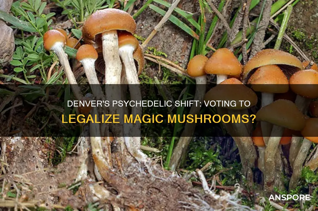 is denver voting to legalize mushrooms