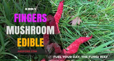 Is Devil's Fingers Mushroom Edible? Unveiling the Truth Behind This Fungus