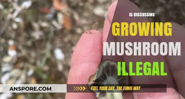 Is Growing Mushrooms Illegal? Legal Insights on Mushroom Cultivation
