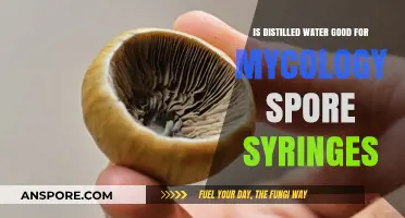 Distilled Water Benefits for Mycology Spore Syringe Preparation and Storage