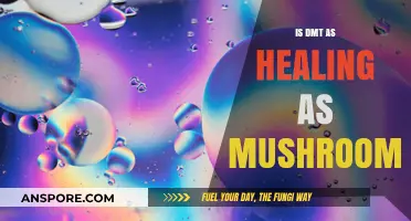 DMT vs. Mushrooms: Unraveling the Healing Potential of Psychedelics