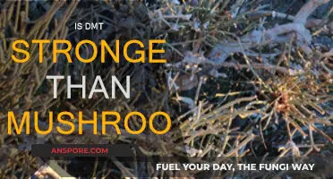 Psychedelics: DMT vs. Mushrooms, Which is Stronger?