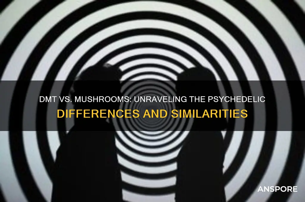 is dmt the same as mushrooms
