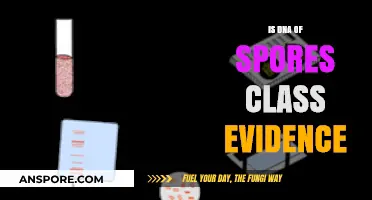 Is DNA from Spores Considered Class Evidence in Forensics?