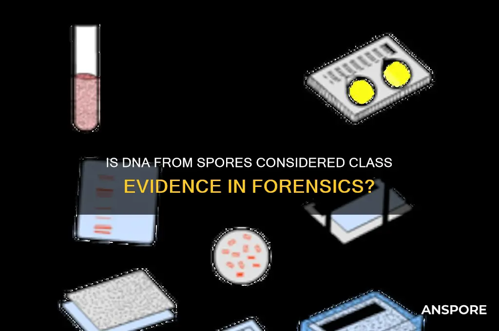 is dna of spores class evidence