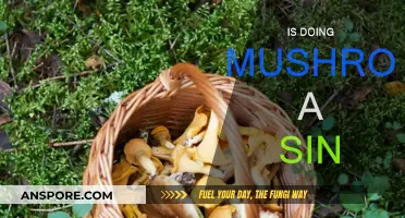 Psychedelics and Sin: Exploring Mushroom Morality