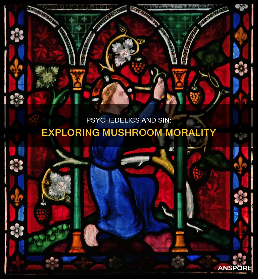 is doing mushrooms a sin