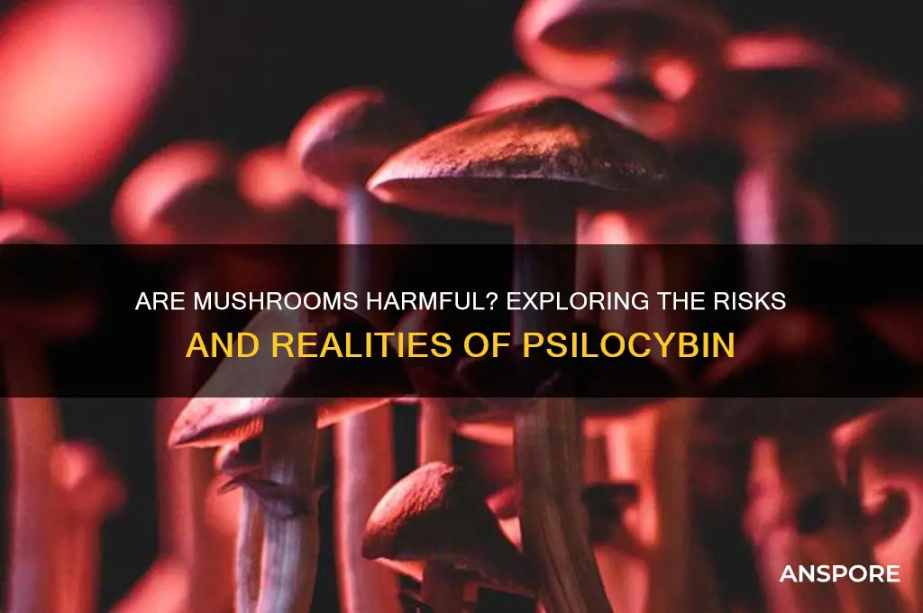 is doing mushrooms bad