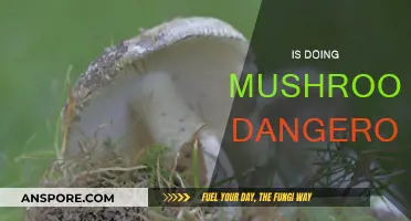 Mushrooms: Are They Safe or Dangerous?