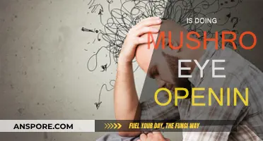 Psychedelic Mushrooms: A Visionary Experience