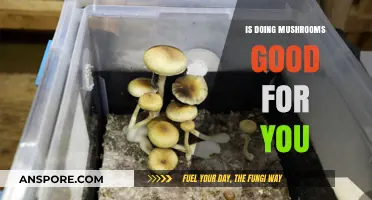 Exploring the Benefits and Risks of Psilocybin Mushrooms for Health