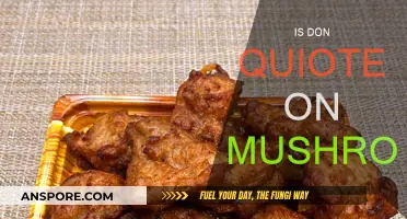 Don Quixote: A Mushroom-Induced Adventure?