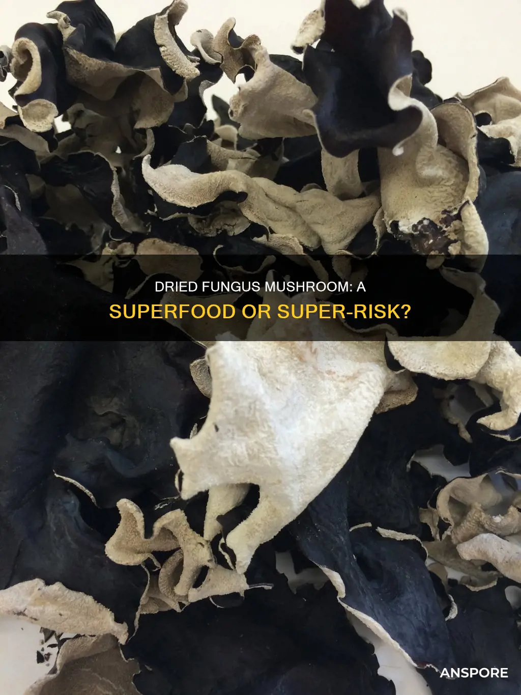 is dried fungus mushroom