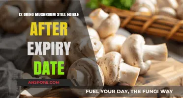 Can You Safely Eat Dried Mushrooms Past Their Expiry Date?