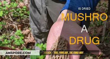 Mushrooms: Are Dried Varieties a Drug?