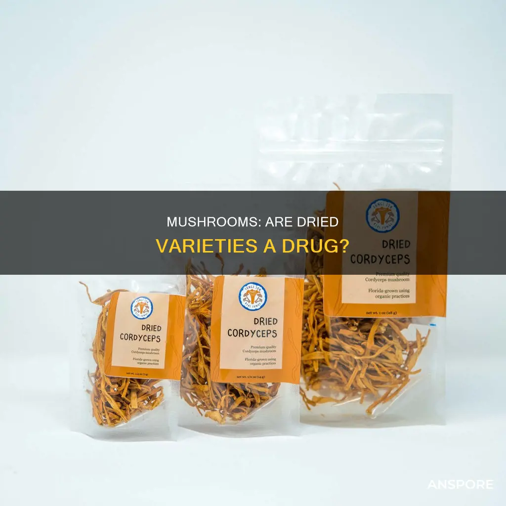 is dried mushrooms a drug