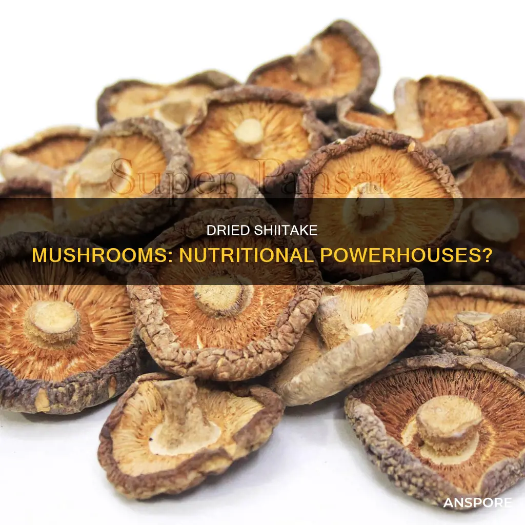 is dried shitake mushroom nutitious