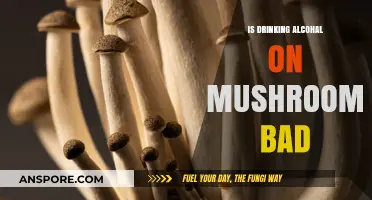 Mixing Mushrooms and Alcohol: Risks, Effects, and What You Need to Know