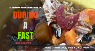 Mushroom Broth During Fasting: Benefits, Risks, and Impact Explained