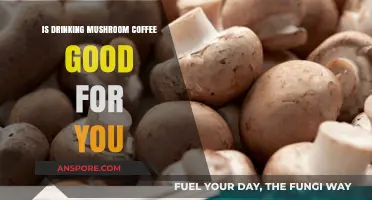 Mushroom Coffee Benefits: Health Hype or Helpful Brew for You?