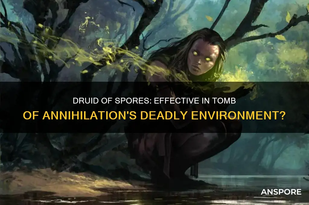 is druid of spores good in tomb of annihilation