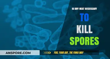 Dry Heat Sterilization: Essential for Effective Spores Elimination or Optional?