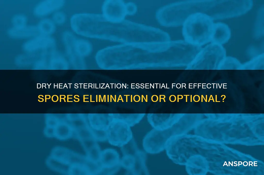 is dry heat necessary to kill spores