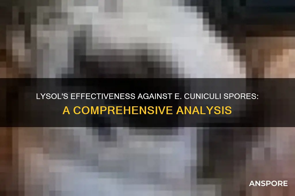 is e cuniculi spores sensitive to lysol