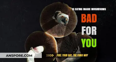 Magic Mushrooms: Risks, Benefits, and Effects on Your Health Explained