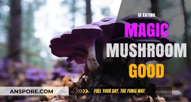 Exploring the Pros and Cons of Consuming Magic Mushrooms