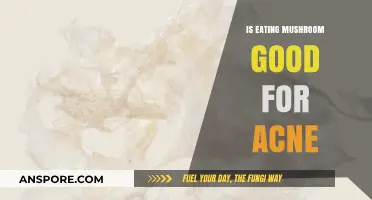 Mushrooms and Acne: Unveiling the Skin Benefits of Fungi