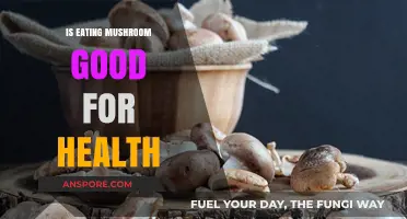 Mushrooms: Unlocking Health Benefits and Nutritional Power for Wellness