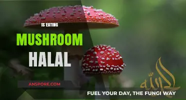 Is Eating Mushroom Halal? Exploring Islamic Dietary Laws and Fungi