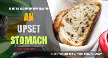 Mushroom Soup for Upset Stomach: Is It a Soothing Remedy?