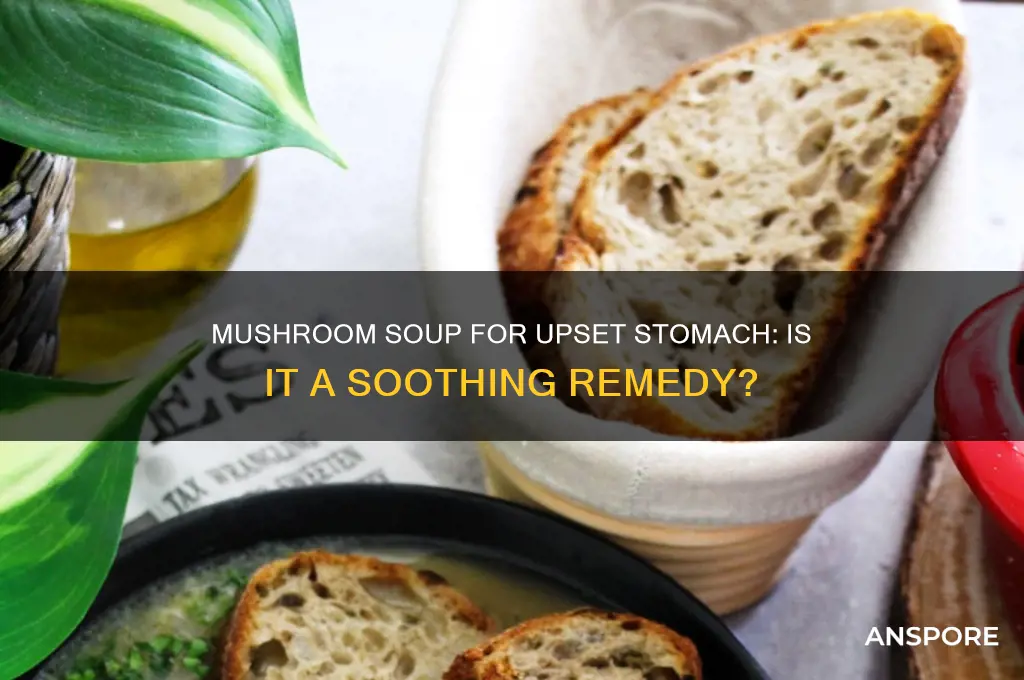 is eating mushroom soup okay for an upset stomach