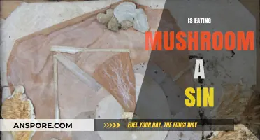 Is Eating Mushrooms a Sin? Exploring Religious and Ethical Perspectives