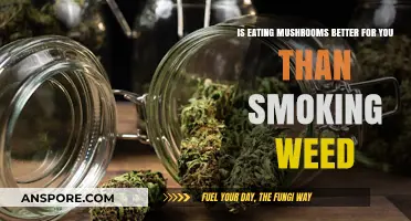 Mushrooms vs. Weed: Which Offers Greater Health Benefits?