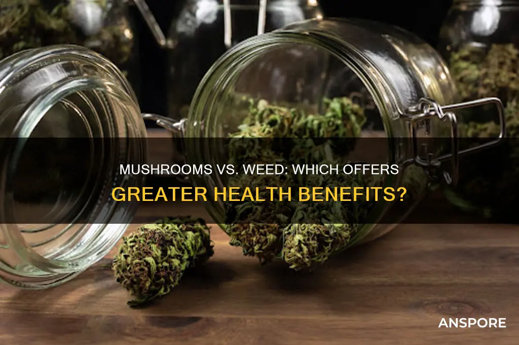 is eating mushrooms better for you than smoking weed