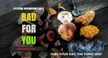Daily Mushroom Consumption: Health Benefits or Hidden Risks?